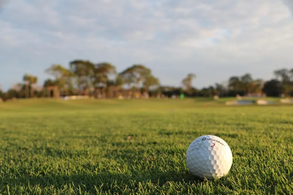 TaylorMade - Product photo with golf ball on grass.